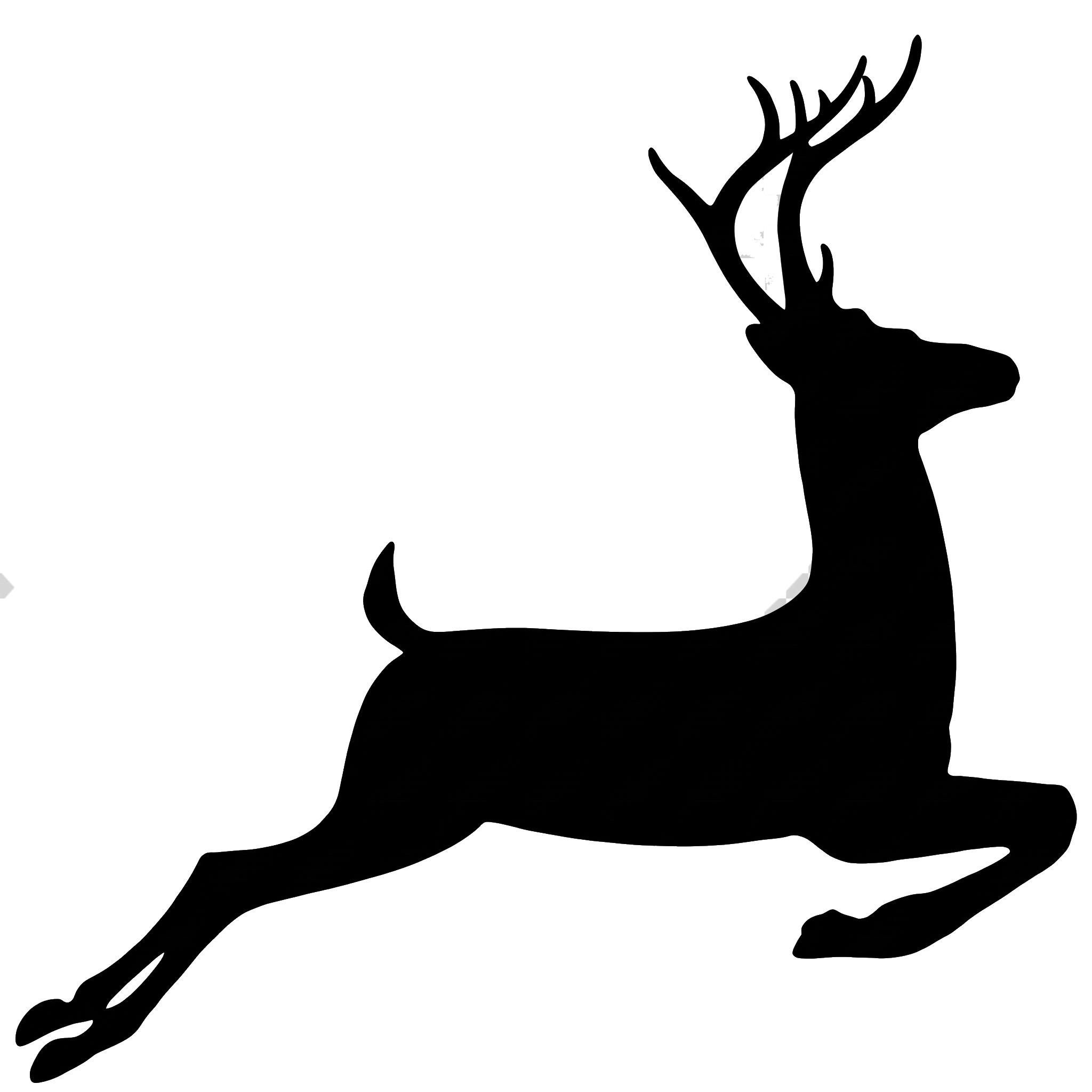 CERVUS